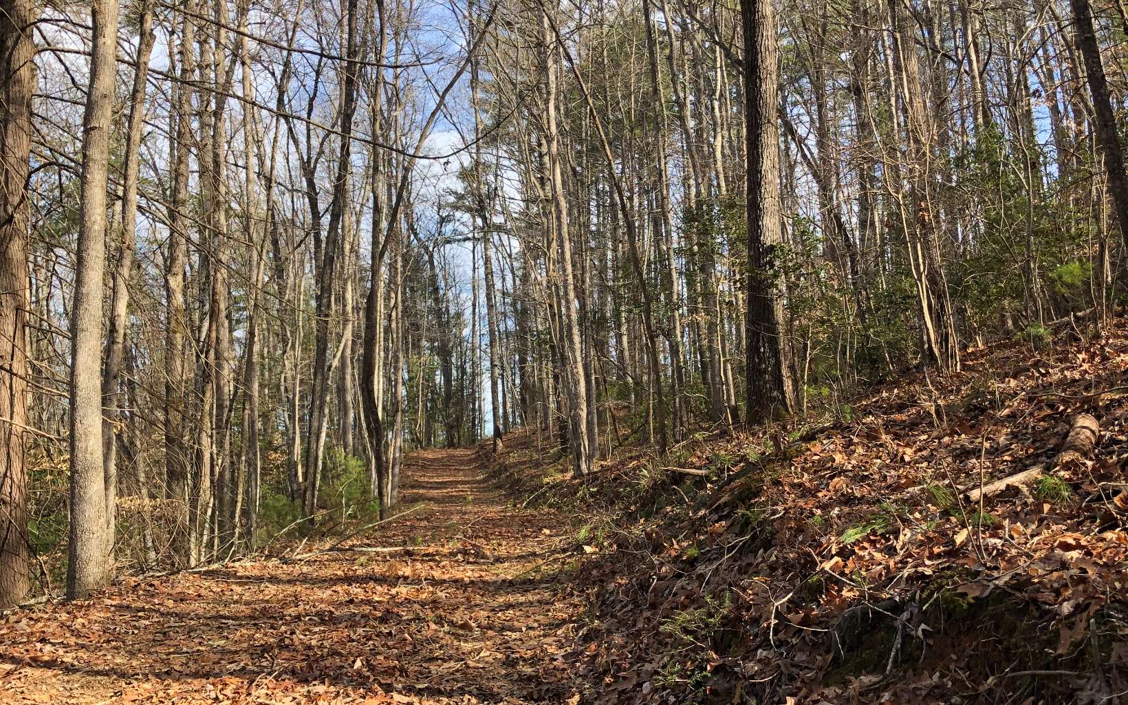 Cliff Raper Road Murphy, NC 28906 - Photo 20 of 24 Additional View
