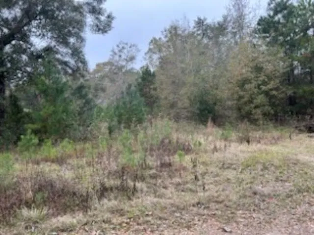 $135,000 | 0 Moccasin Gap, Tallahassee, FL 32309