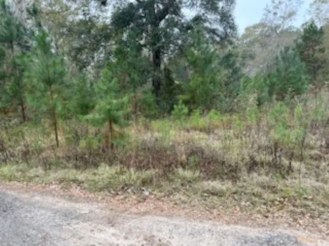 $135,000 | 0 Moccasin Gap, Tallahassee, FL 32309
