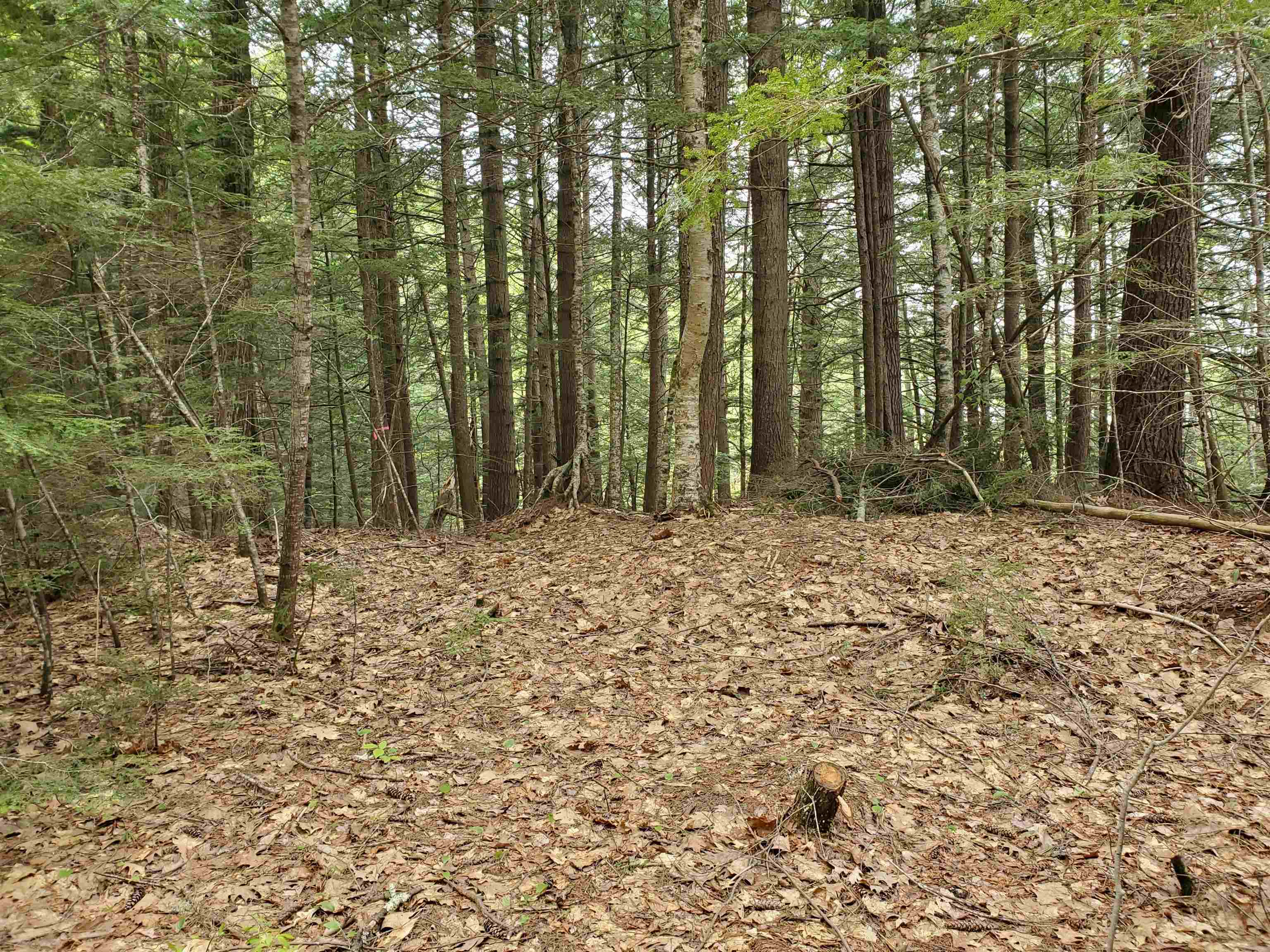 155 Boys Camp Road Enfield, NH 03748 - Photo 21 of 30 Gallery Image 21