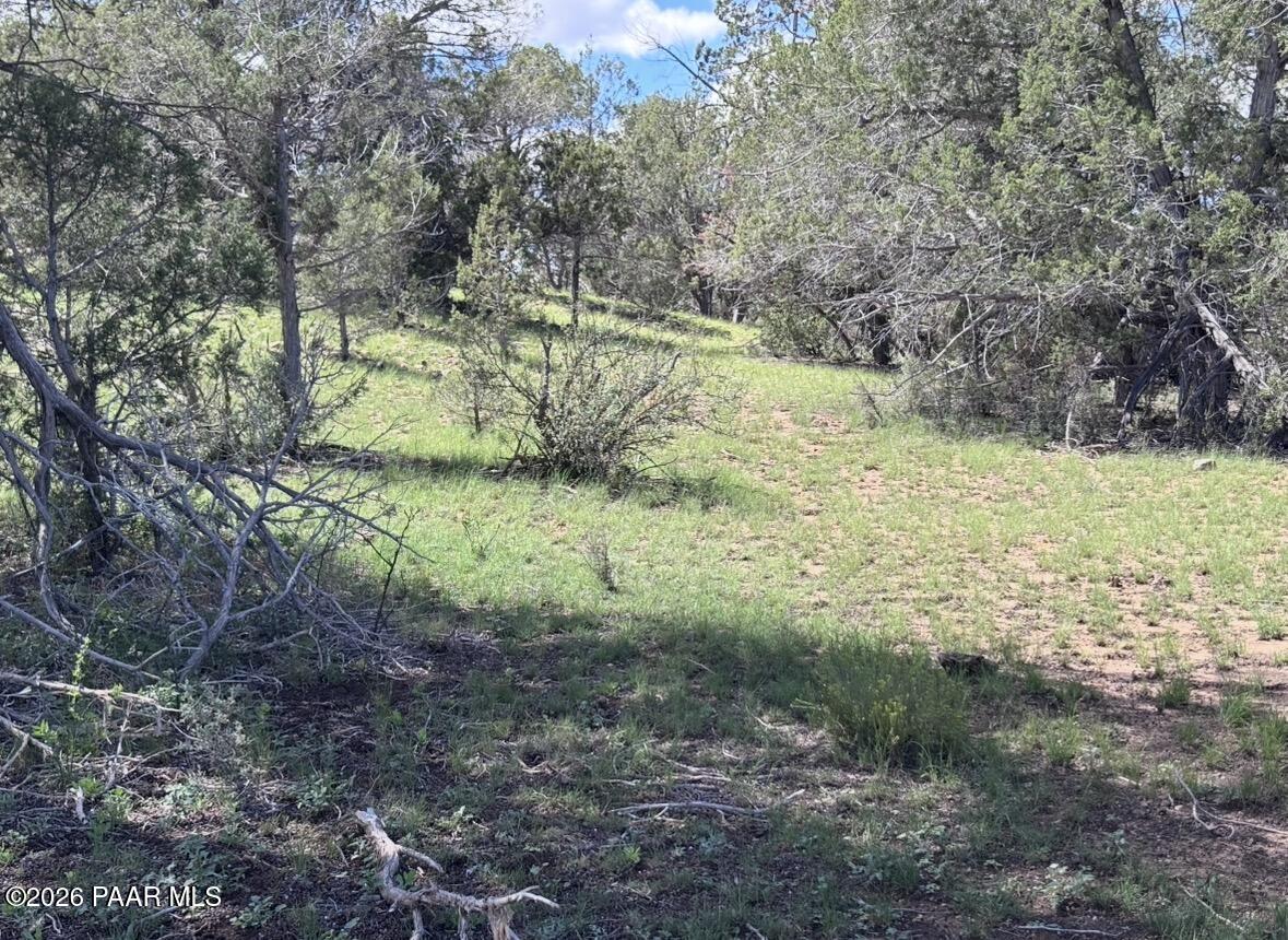 220 Six Shooter Road Williams, AZ 86046 - Photo 13 of 32 IMG_4370