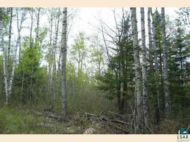 One 1 Pine Estates Road Ely, MN 55731 - Photo 2 of 5 Gallery Image 2
