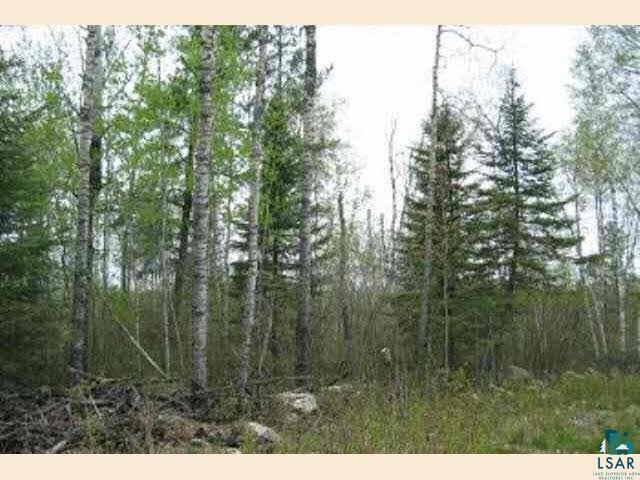 One 1 Pine Estates Road Ely, MN 55731 - Photo 3 of 5 Gallery Image 3