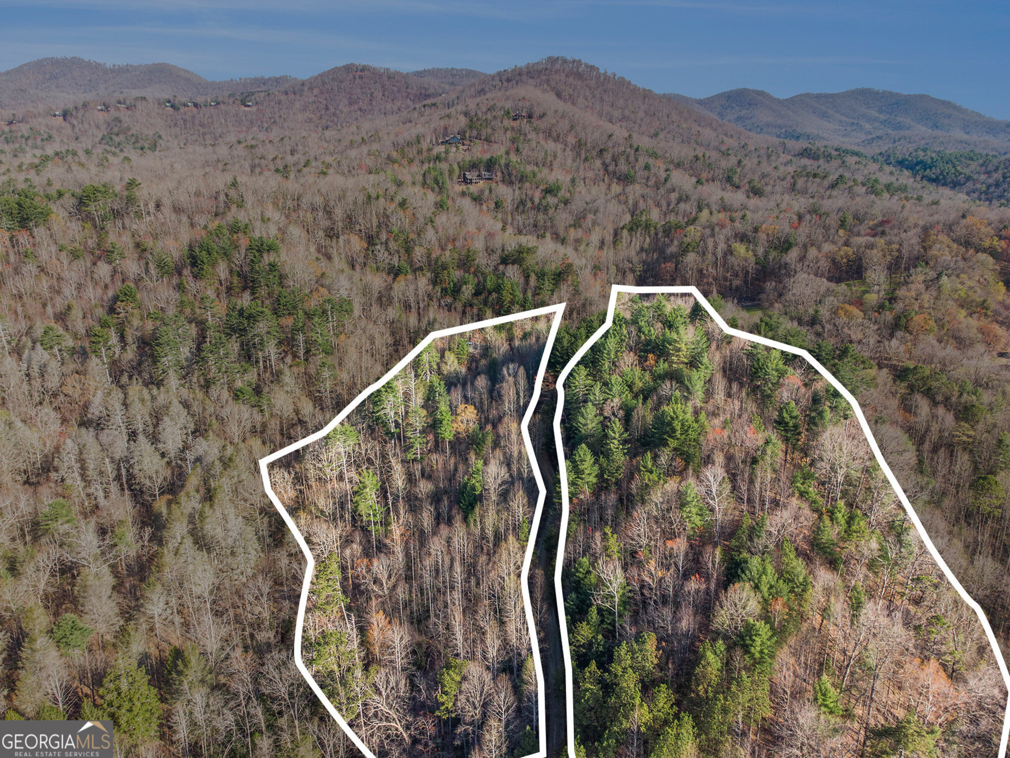 0 Bryant Farm Lane Ellijay, GA 30540 - Photo 3 of 10