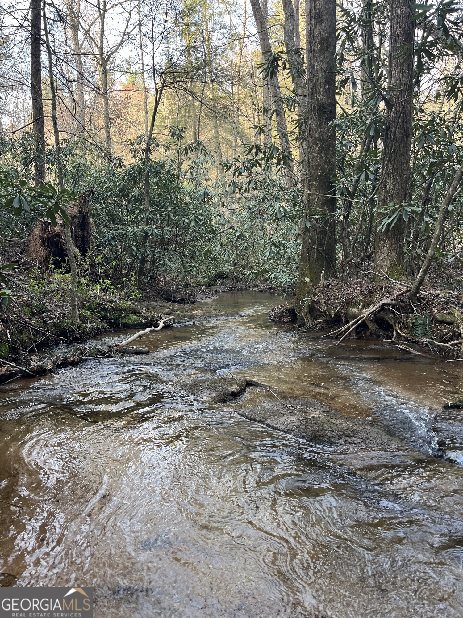 0 Bryant Farm Lane Ellijay, GA 30540 - Photo 4 of 10