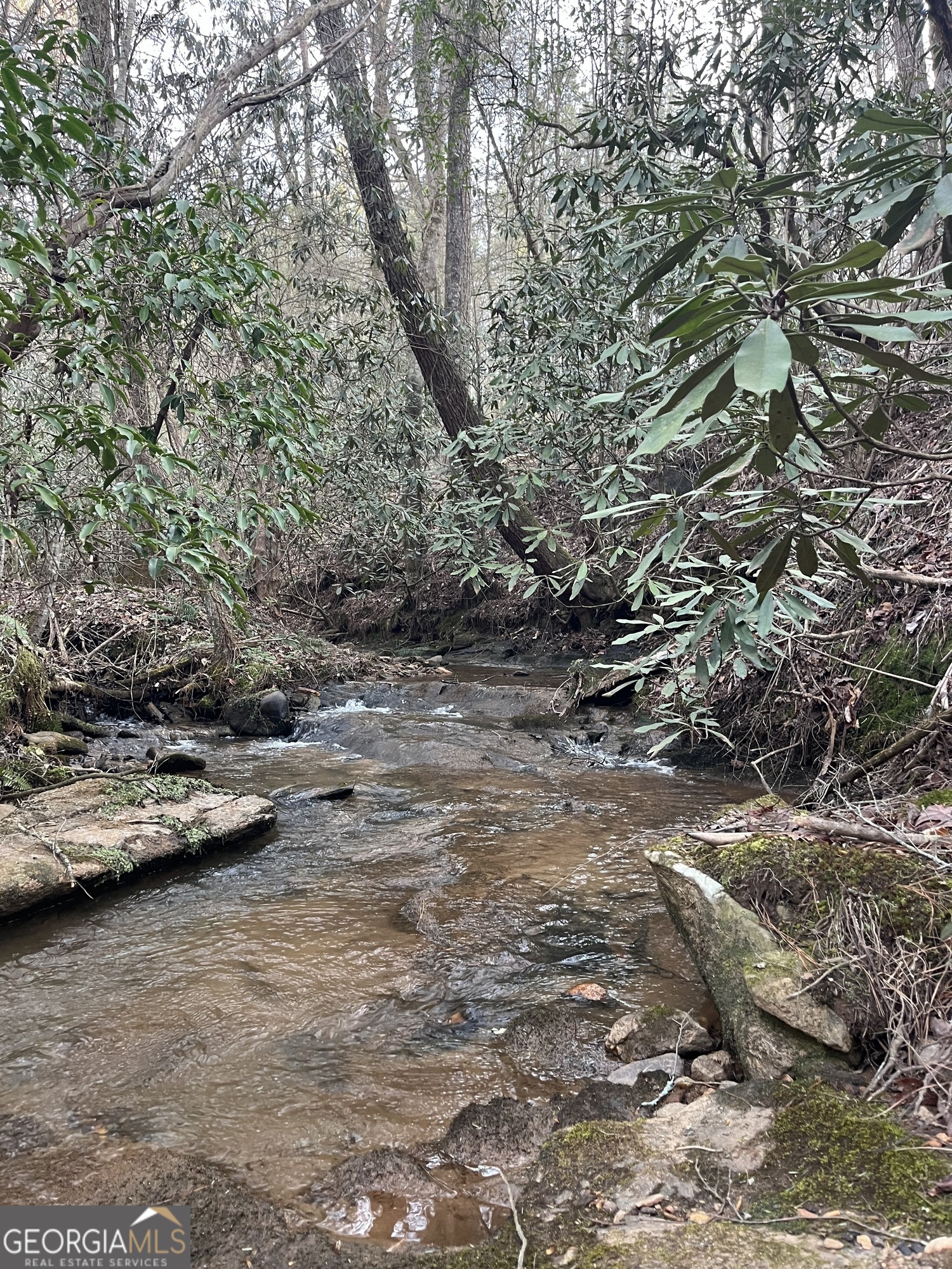 0 Bryant Farm Lane Ellijay, GA 30540 - Photo 5 of 10