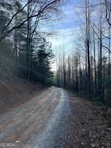 $170,000 | 0 Bryant Farm Lane, Ellijay, GA 30540