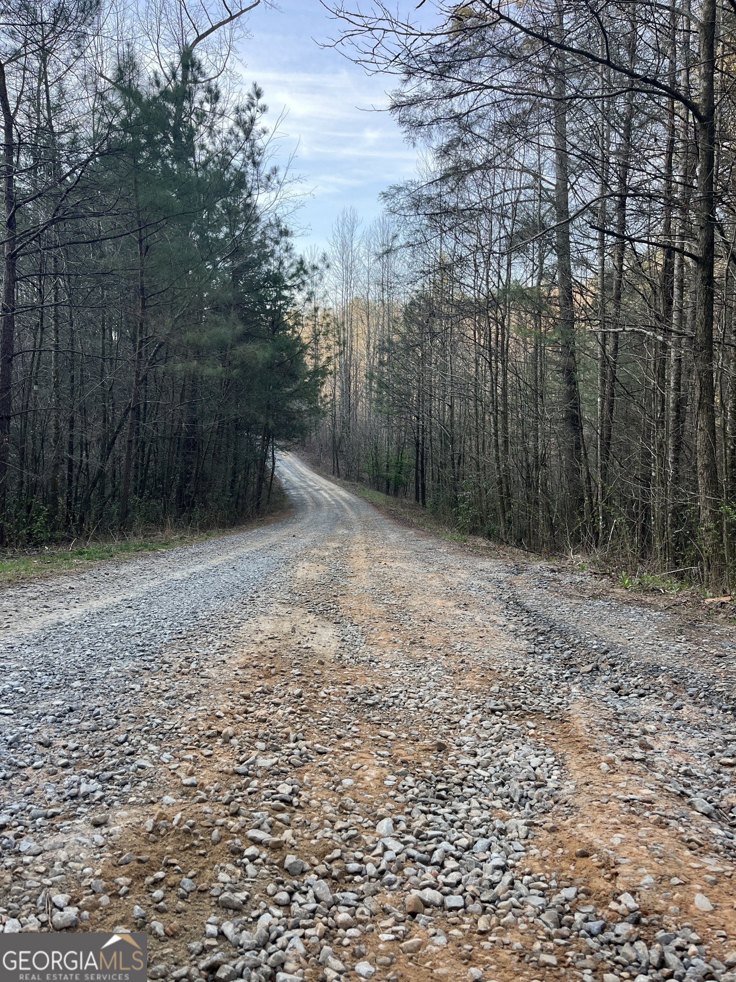 0 Bryant Farm Lane Ellijay, GA 30540 - Photo 7 of 10