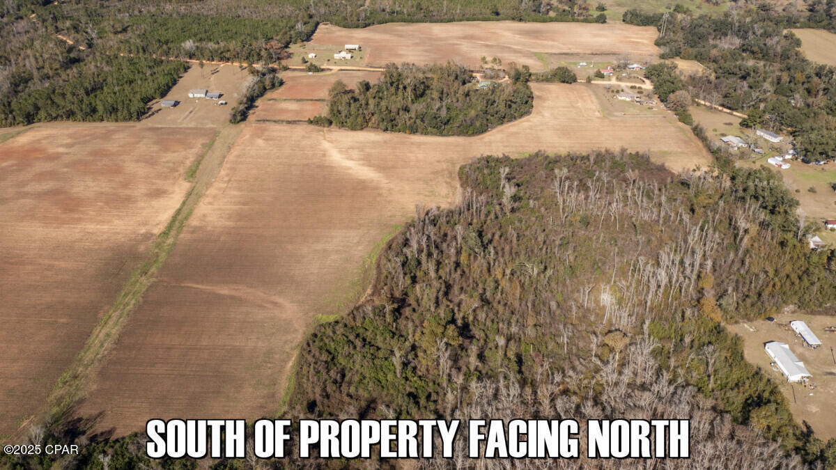 0 Sand Basin Road Grand Ridge, FL 32442 - Photo 15 of 18 Gallery Image 15