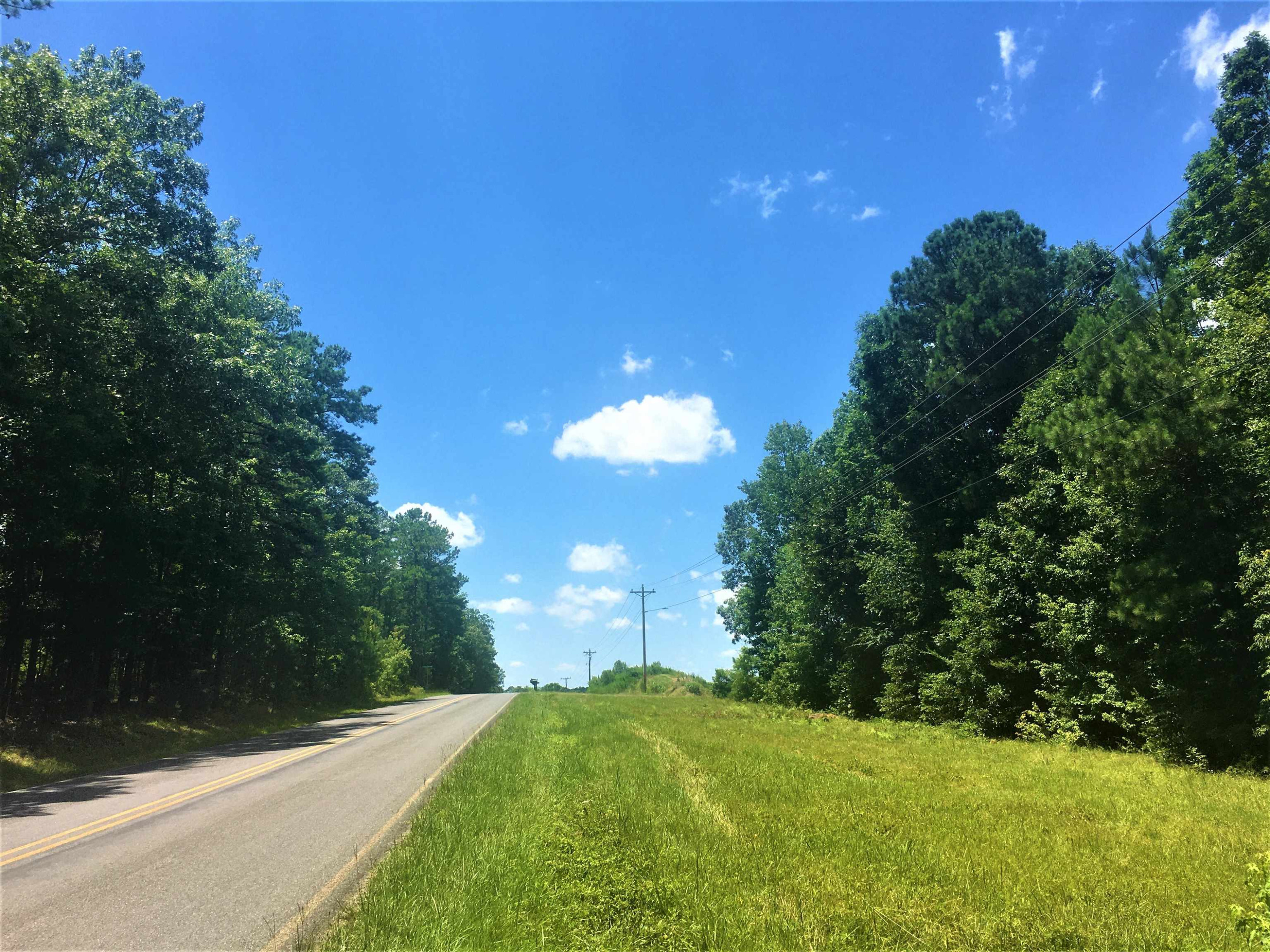 Tbd Mt View Church Road Moncure, NC 27559 - Photo 7 of 10 Photo 7