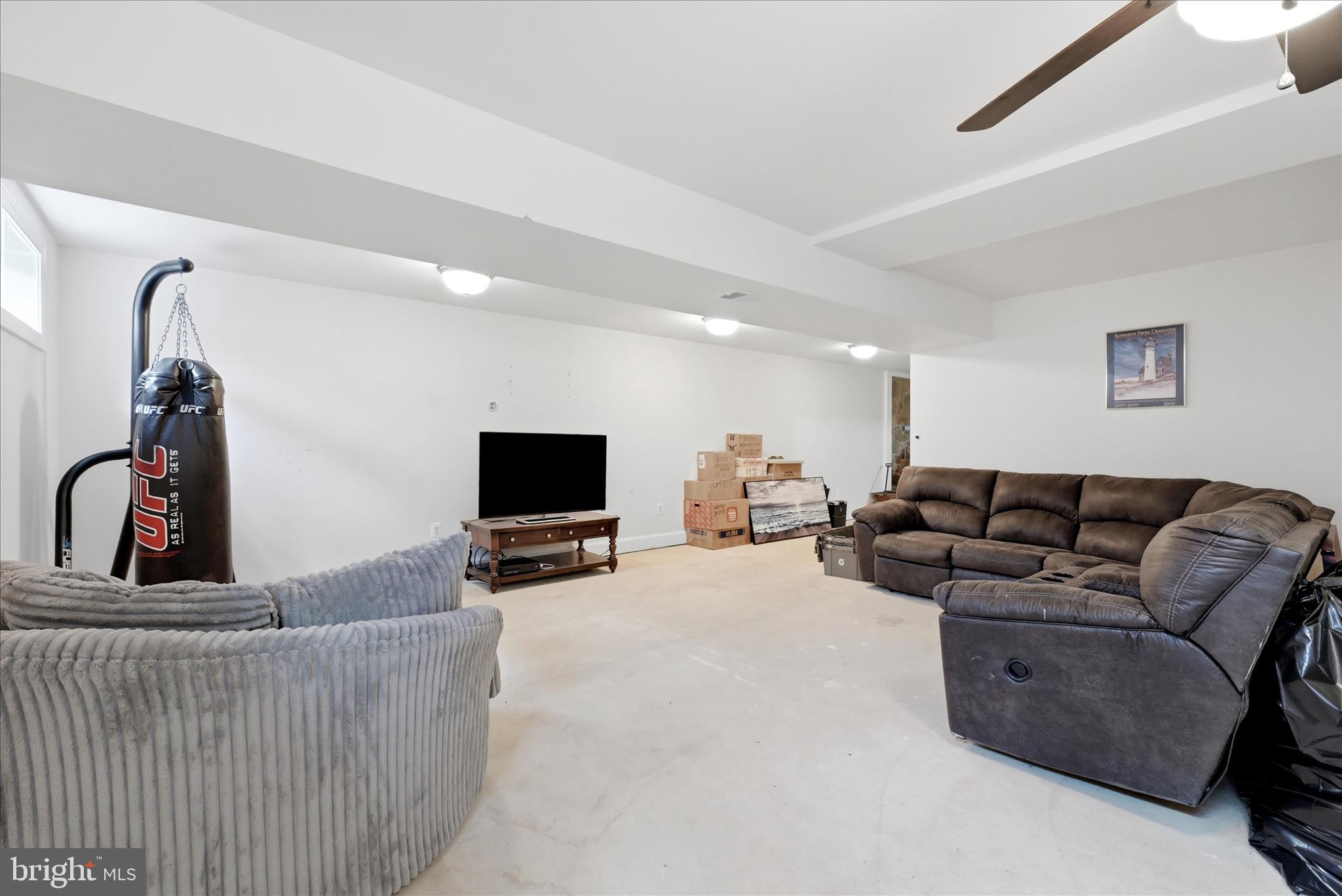 59 Howards Lane Boyce, VA 22620 - Photo 47 of 81 Basement