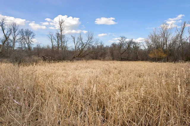 $899,000 | Tbd Lake Boulevard Northwest, Buffalo, MN 55313