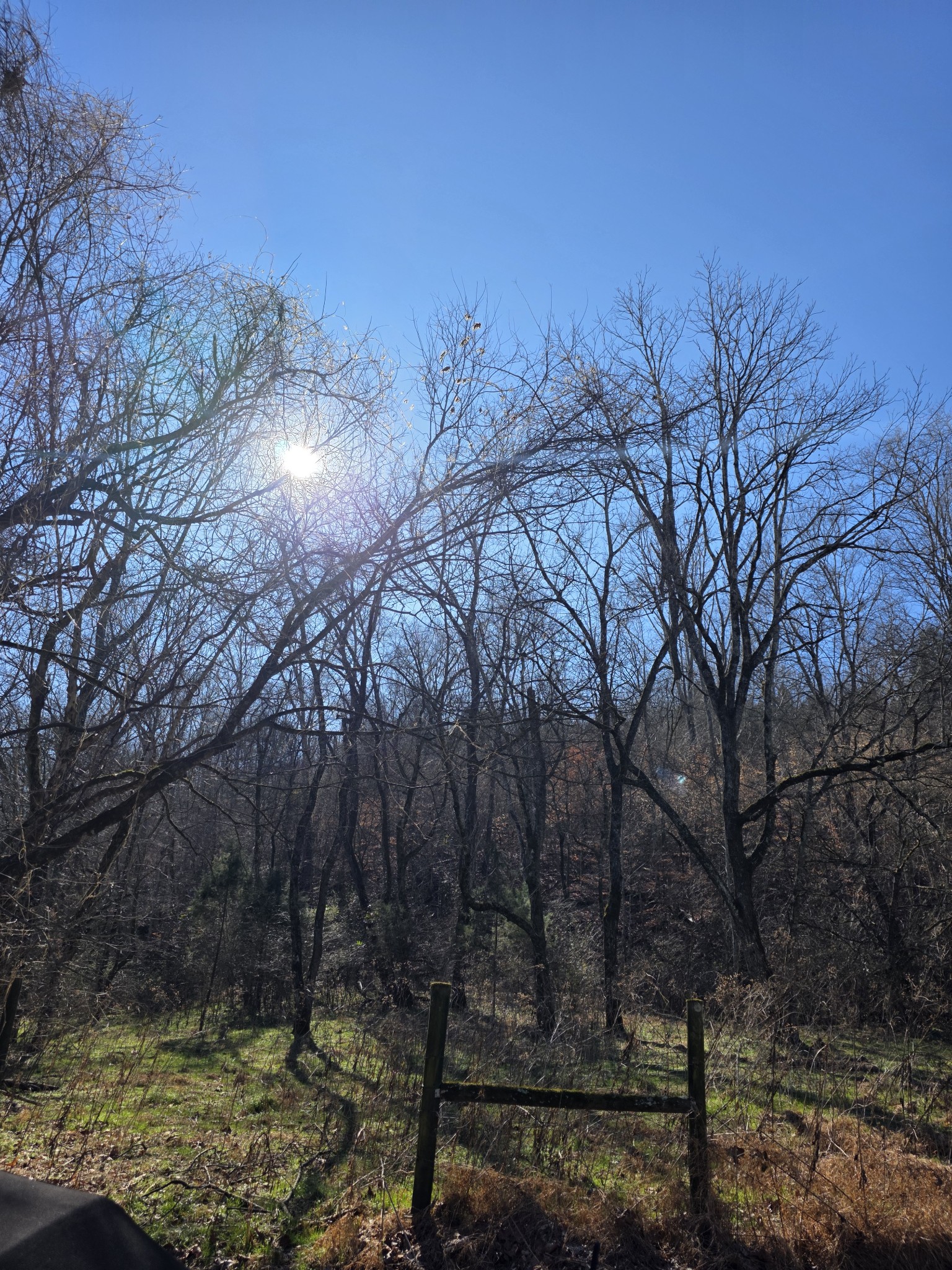 0 Rock Springs Road Ethridge, TN 38456 - Photo 1 of 14