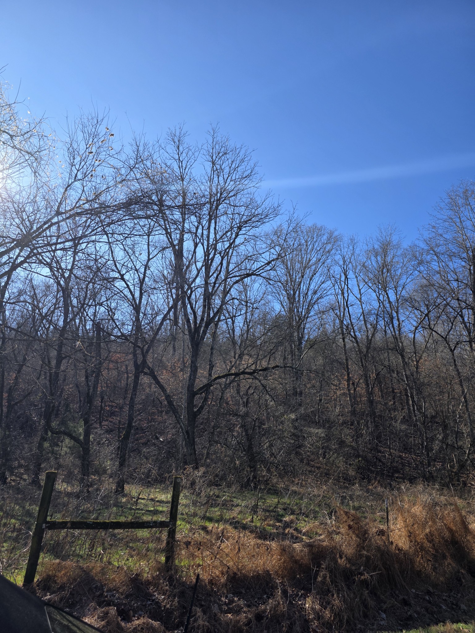 0 Rock Springs Road Ethridge, TN 38456 - Photo 2 of 14