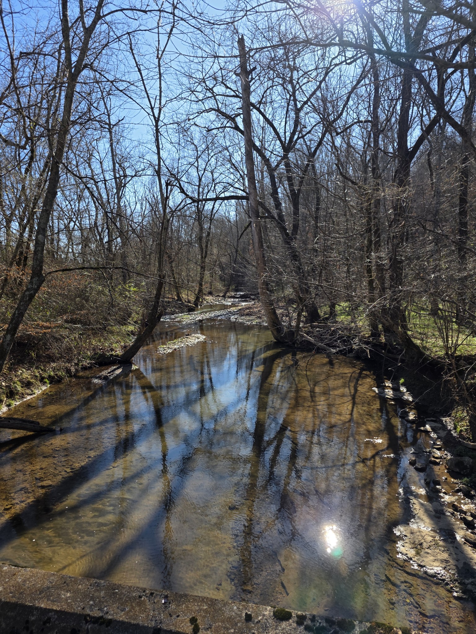 0 Rock Springs Road Ethridge, TN 38456 - Photo 3 of 14