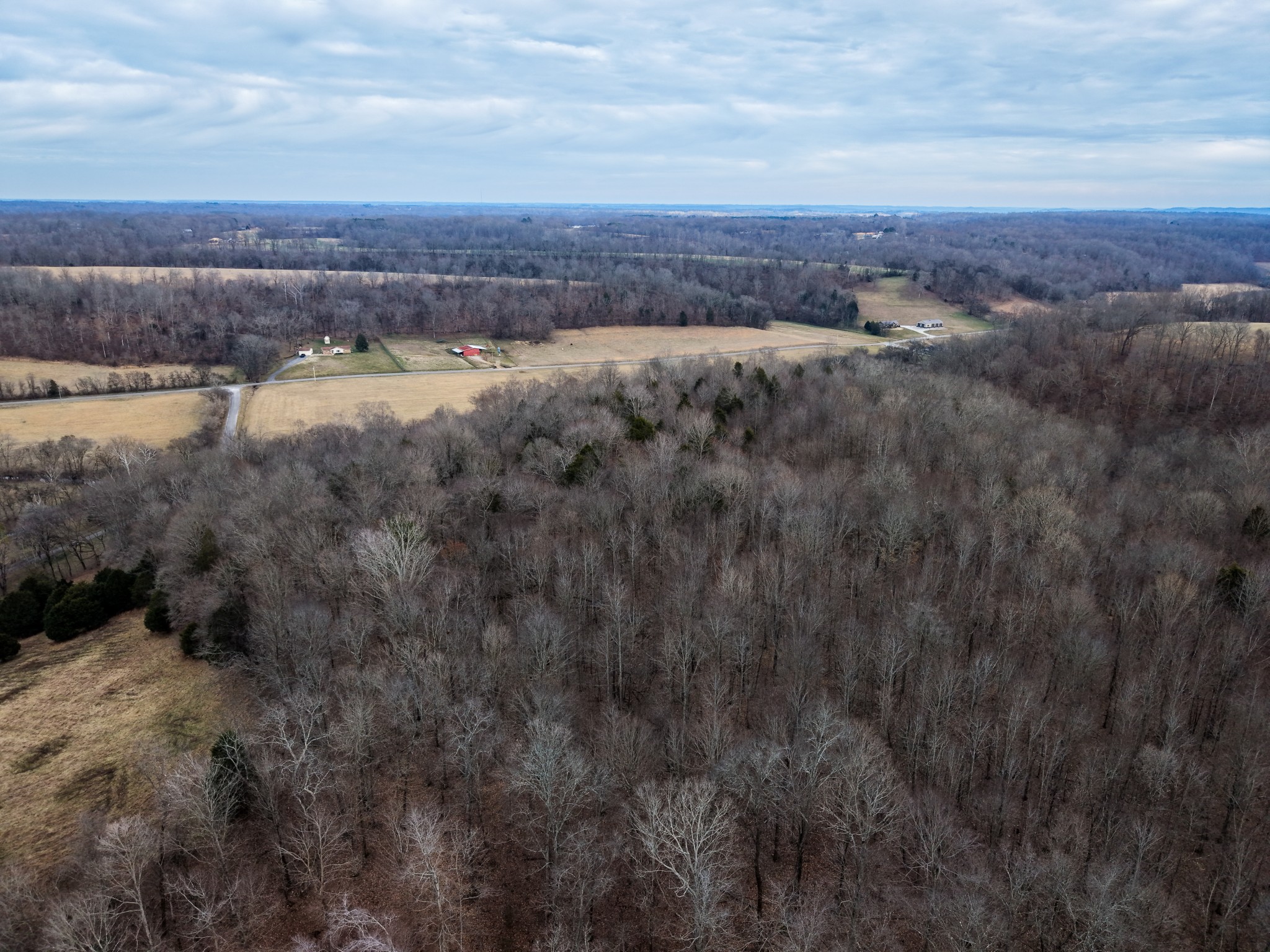 0 Rock Springs Road Ethridge, TN 38456 - Photo 9 of 14