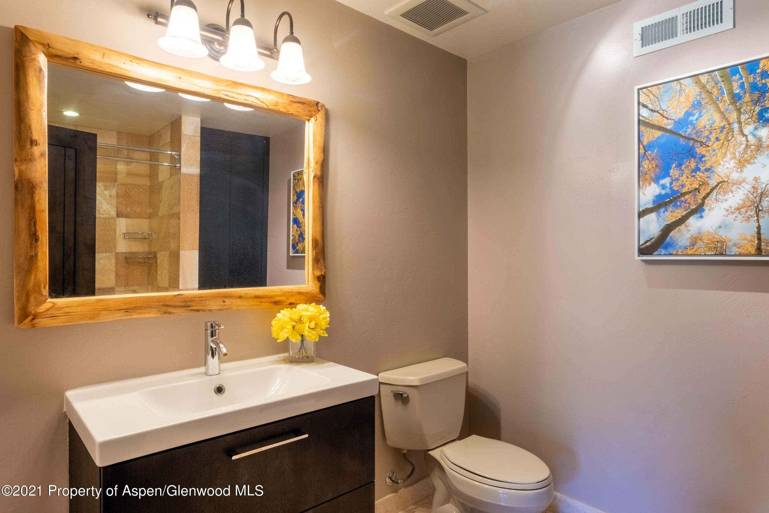 4559 Frying Pan Road Basalt, CO 81621 - Photo 24 of 35 a bathroom with a sink mirror vanity and toilet