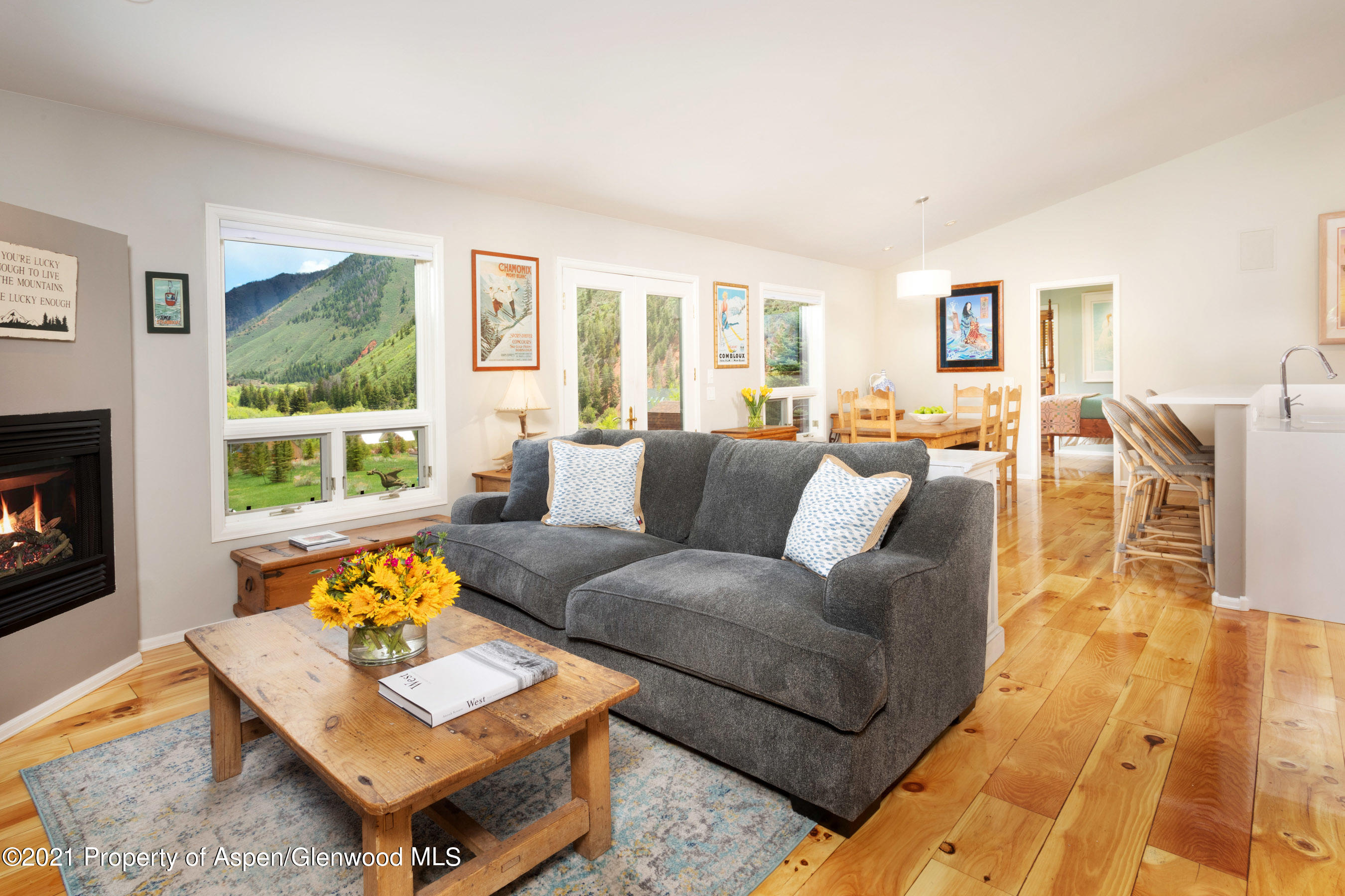 4559 Frying Pan Road Basalt, CO 81621 - Photo 9 of 35 a living room with furniture and a fireplace