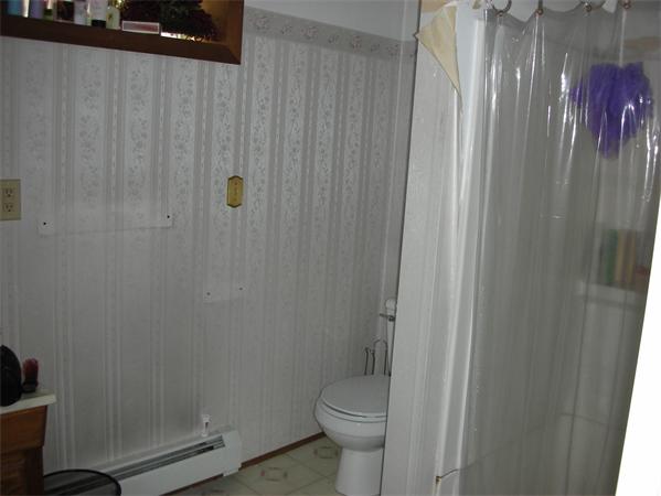95 Brookfield Road Charlton, MA 01507 - Photo 14 of 15 a bathroom with a shower and a toilet