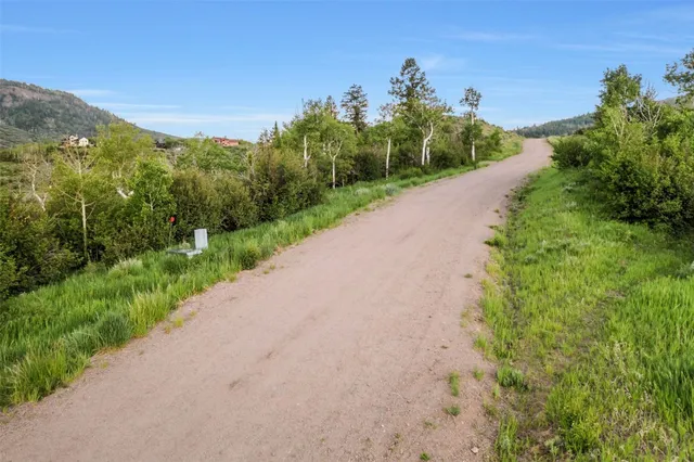 a view of a road with a yard