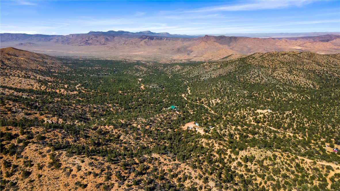 313-87-005 North Trap Spgs Road Hackberry, AZ 86411 - Photo 13 of 21