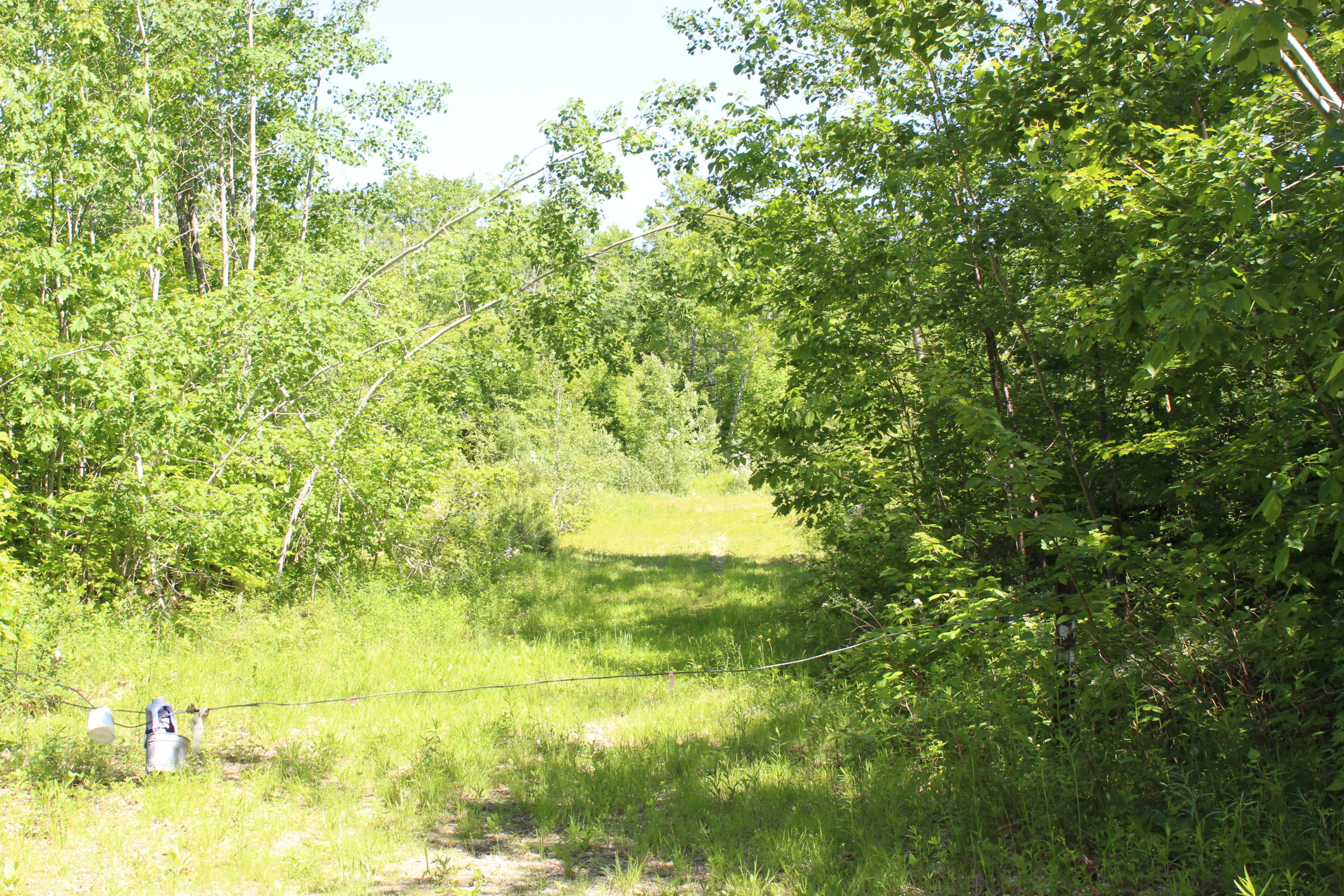 117 South Brooks Road Brooks, ME 04921 - Photo 30 of 37 IMG_0500