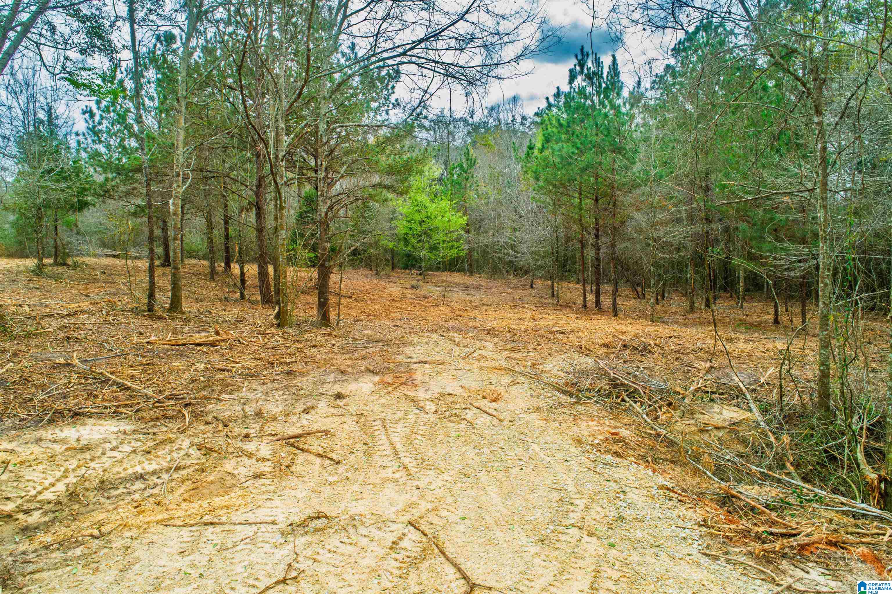 27180 Deer Run Road Opp, AL 36467 - Photo 38 of 60