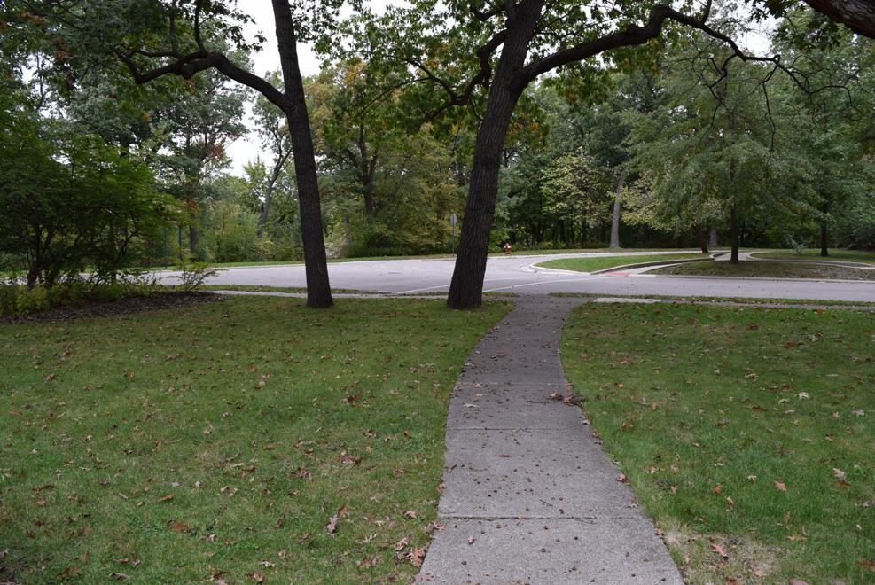 341 Scottswood Road Riverside, IL 60546 - Photo 46 of 46 a view of a garden with trees