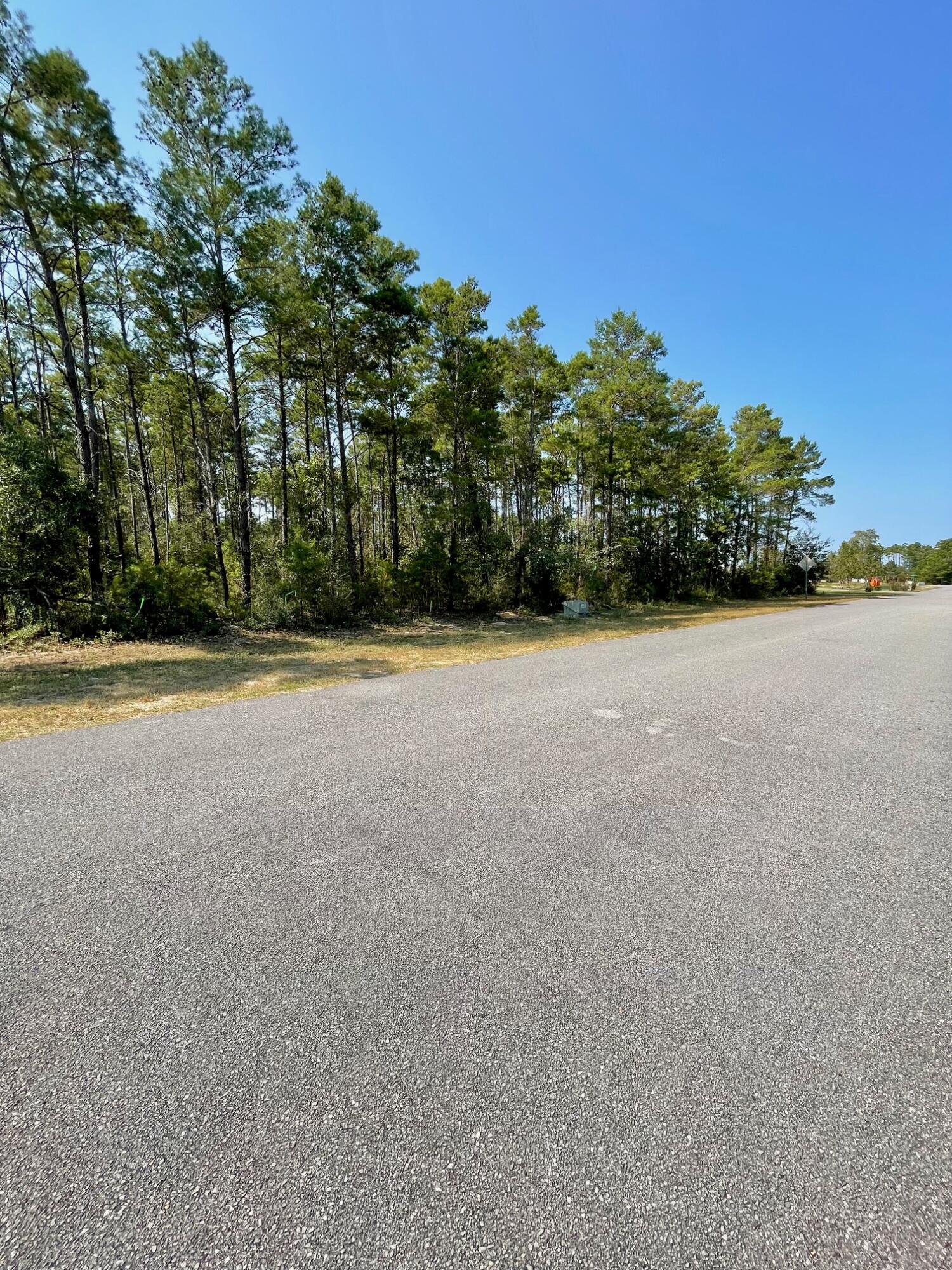 328 Bream Pond Road Southport, FL 32409 - Photo 3 of 8 3