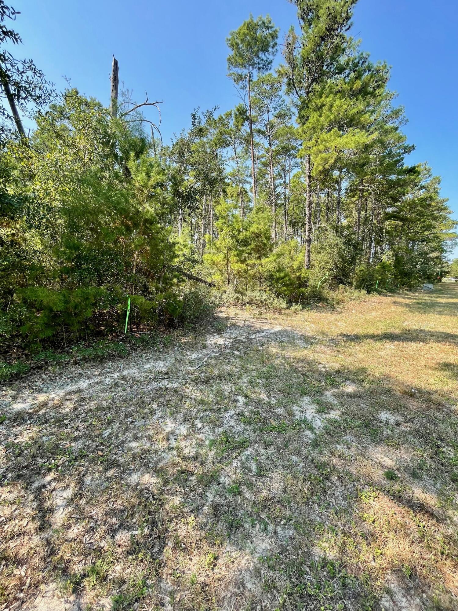 328 Bream Pond Road Southport, FL 32409 - Photo 5 of 8 5