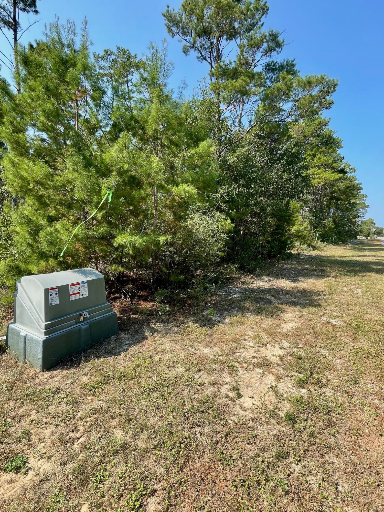 328 Bream Pond Road Southport, FL 32409 - Photo 6 of 8 6