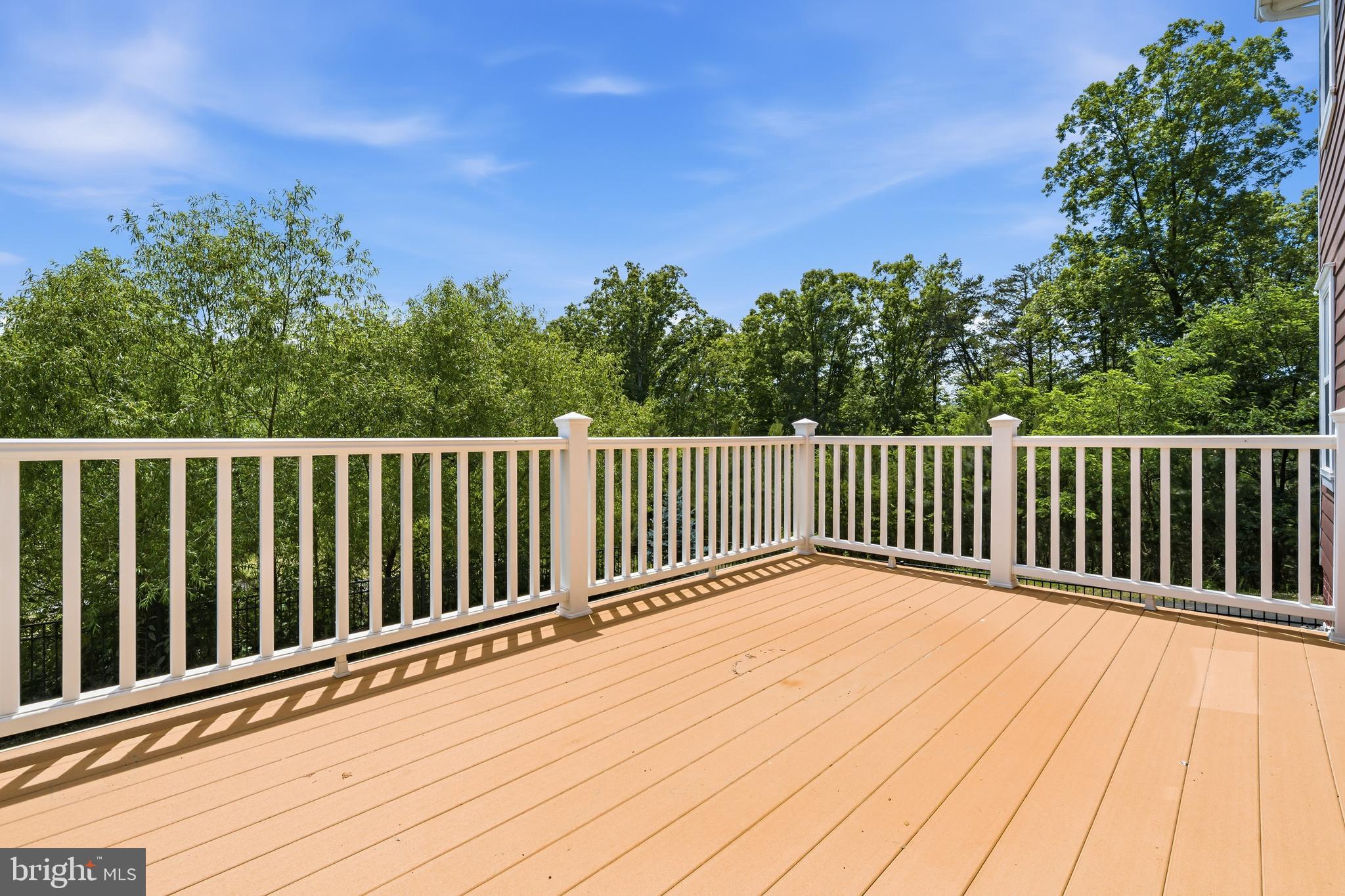 2287 River Birch Road Dumfries, VA 22026 - Photo 15 of 45