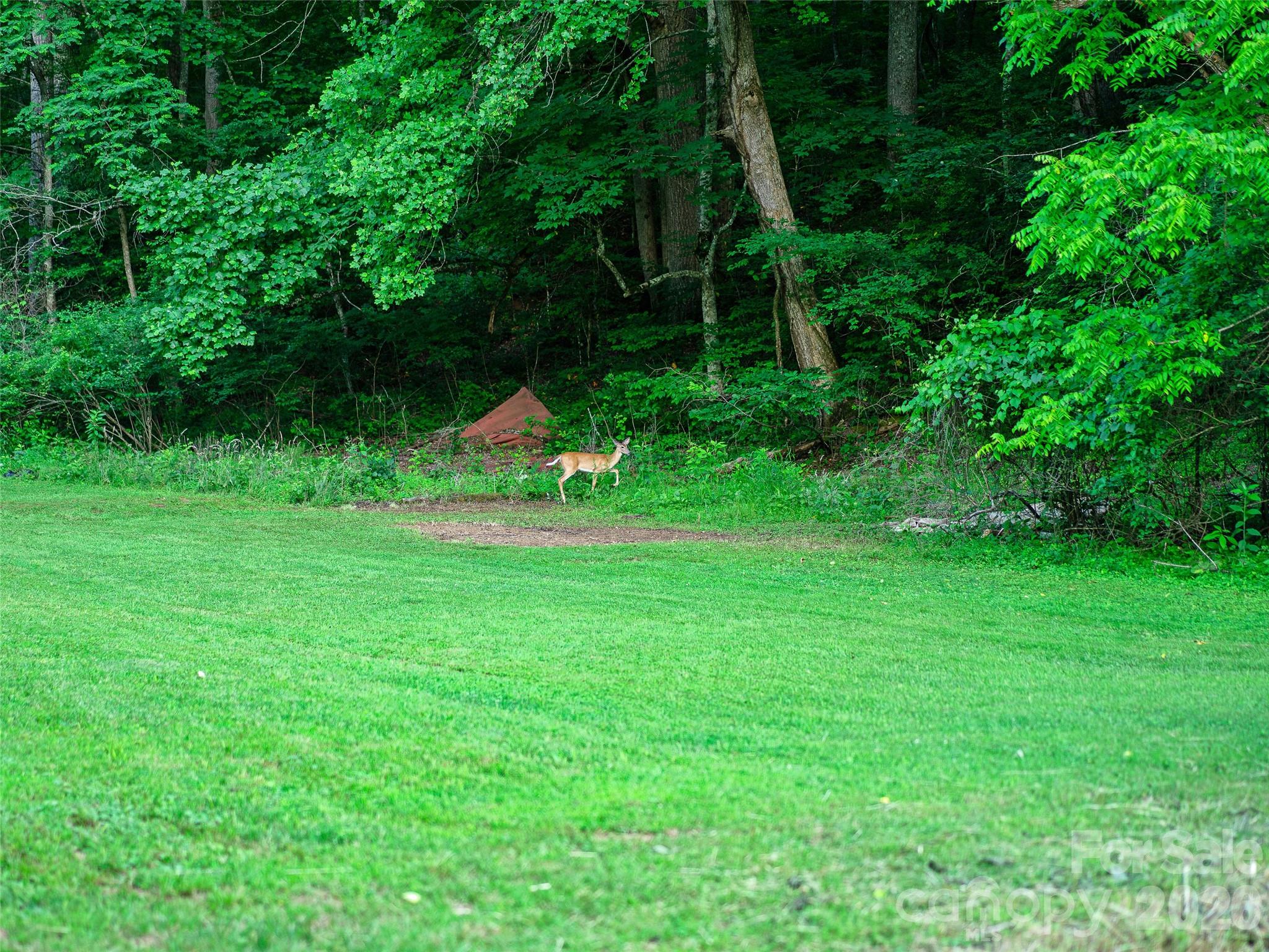 232 Langford Branch Road Burnsville, NC 28714 - Photo 22 of 27