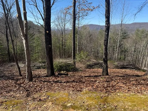 $54,900 | Lot 56 Fires Creek Cove Road, Hayesville, NC 28904