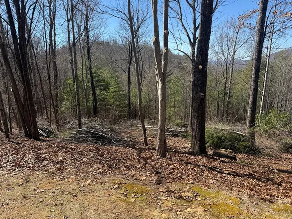 $54,900 | Lot 56 Fires Creek Cove Road, Hayesville, NC 28904