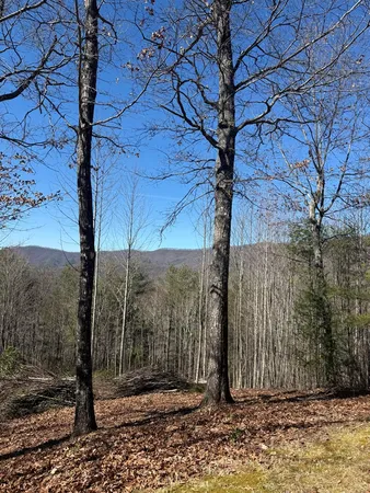 $54,900 | Lot 56 Fires Creek Cove Road, Hayesville, NC 28904