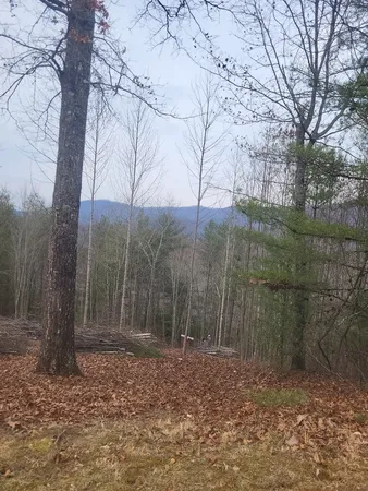 $54,900 | Lot 56 Fires Creek Cove Road, Hayesville, NC 28904