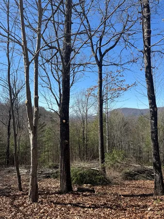 $54,900 | Lot 56 Fires Creek Cove Road, Hayesville, NC 28904