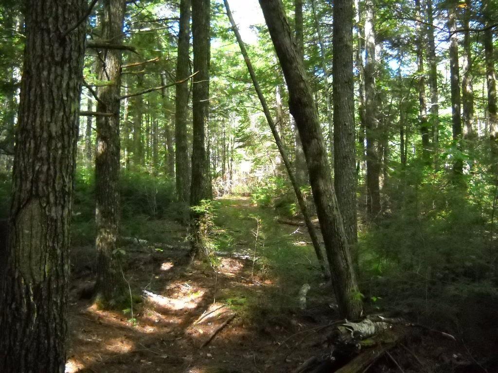 167 Silsby Road Ellsworth, ME 04605 - Photo 6 of 10 Photo