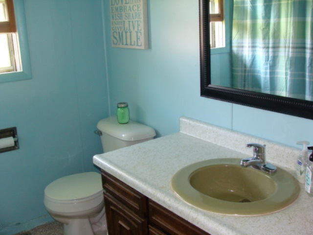 8701 Murphy Road Lyons, MI 48851 - Photo 15 of 16 DSC05782
