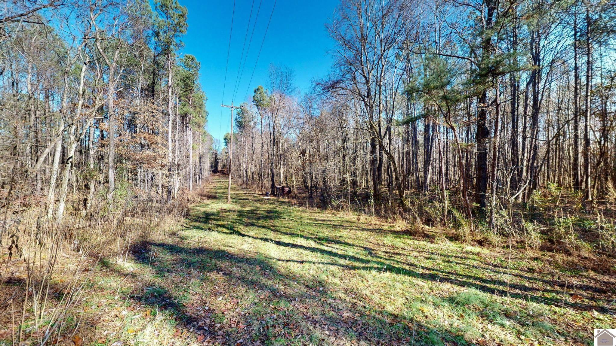 Protemus Road Murray, KY 42071 - Photo 15 of 15 Photo 15