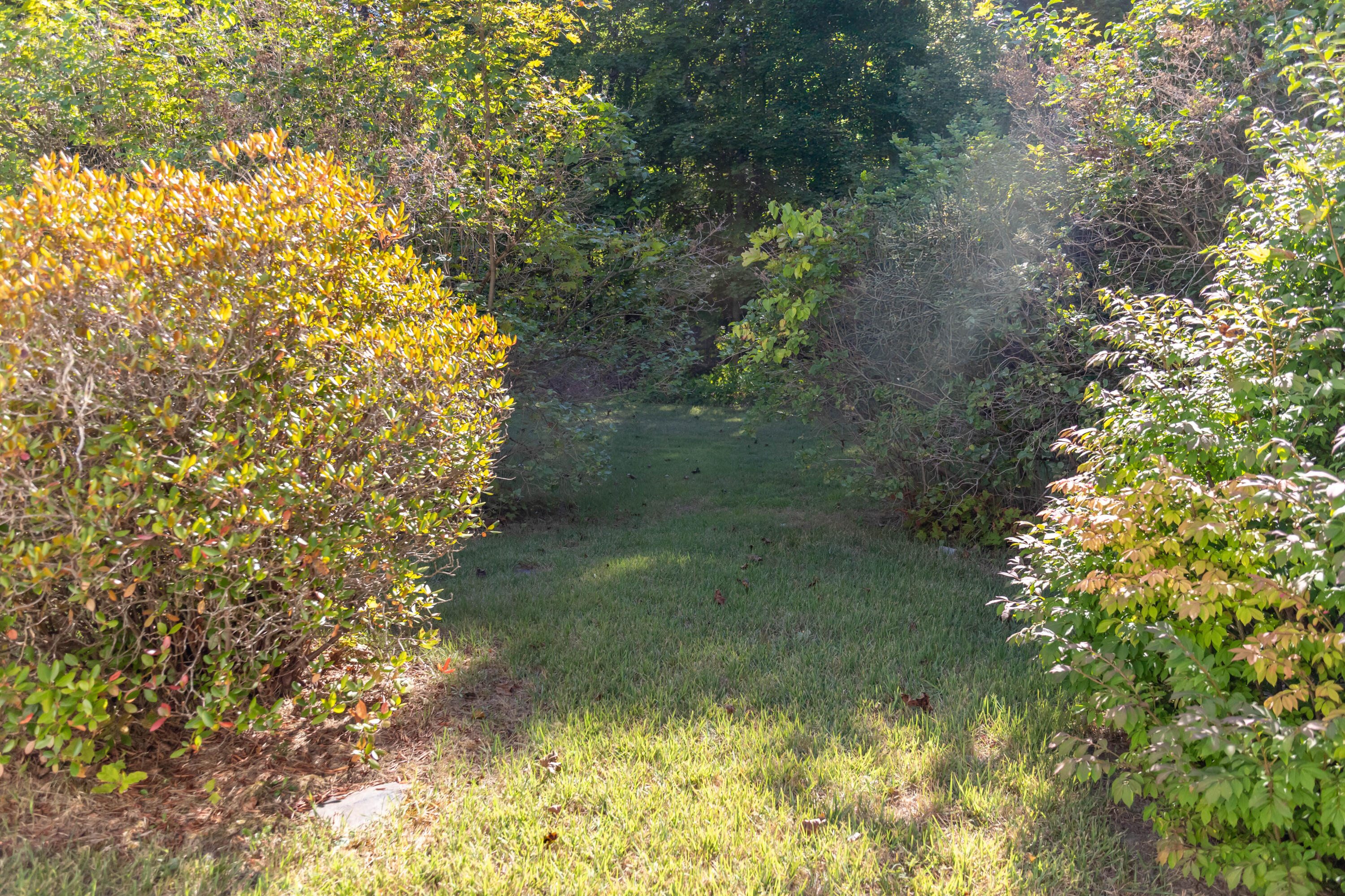 1106 Chase Road Veazie, ME 04401 - Photo 58 of 70 IMG_0063-Edit