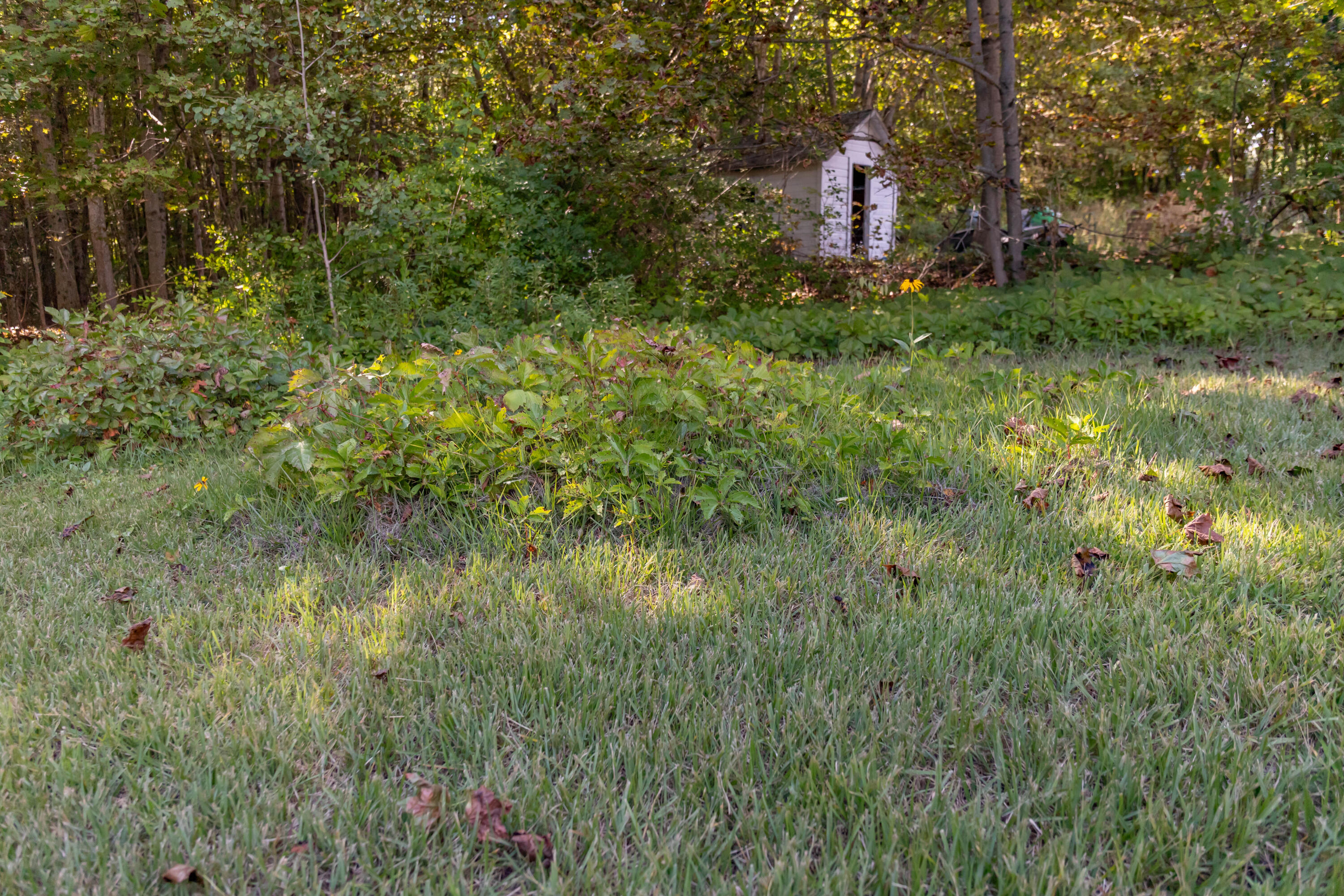 1106 Chase Road Veazie, ME 04401 - Photo 65 of 70 IMG_0071