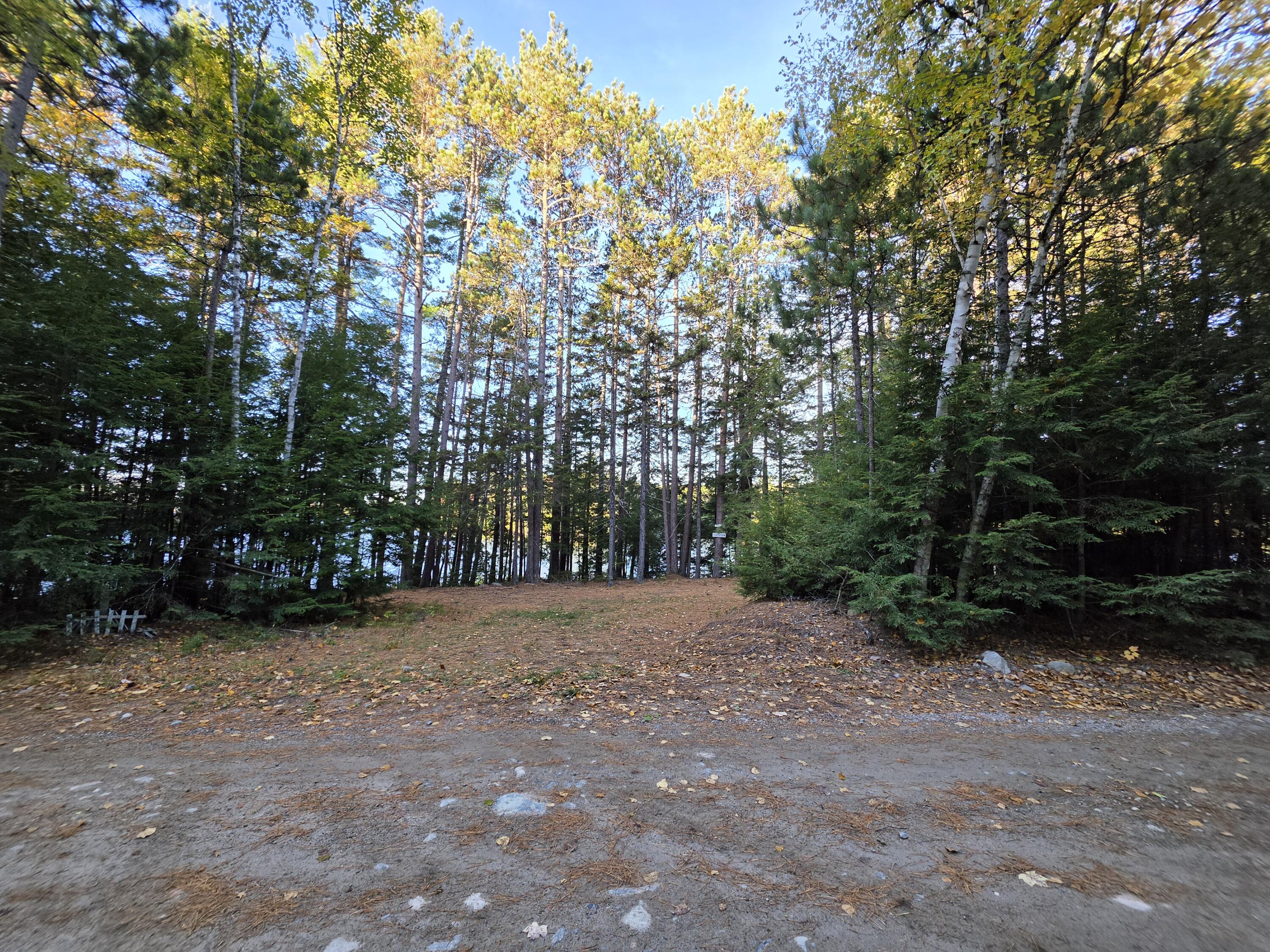 Lot 3 East Shore Road Lakeville, ME 04487 - Photo 54 of 59 20261007_074730