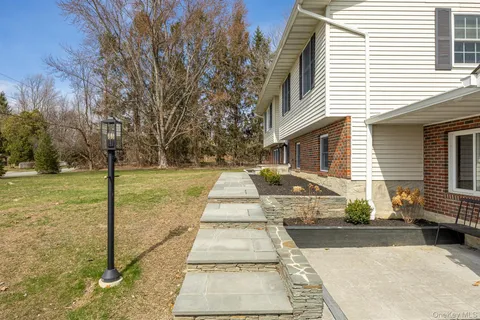 a view of a yard with plants