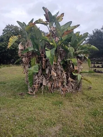 $3,400 | 17345 Northwest 18th Avenue, Miami Gardens, FL 33056