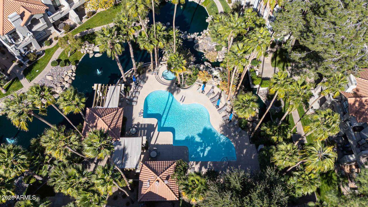 10017 East Mountain View Road, Unit 2091 Scottsdale, AZ 85258 - Photo 53 of 66 drone pool view5