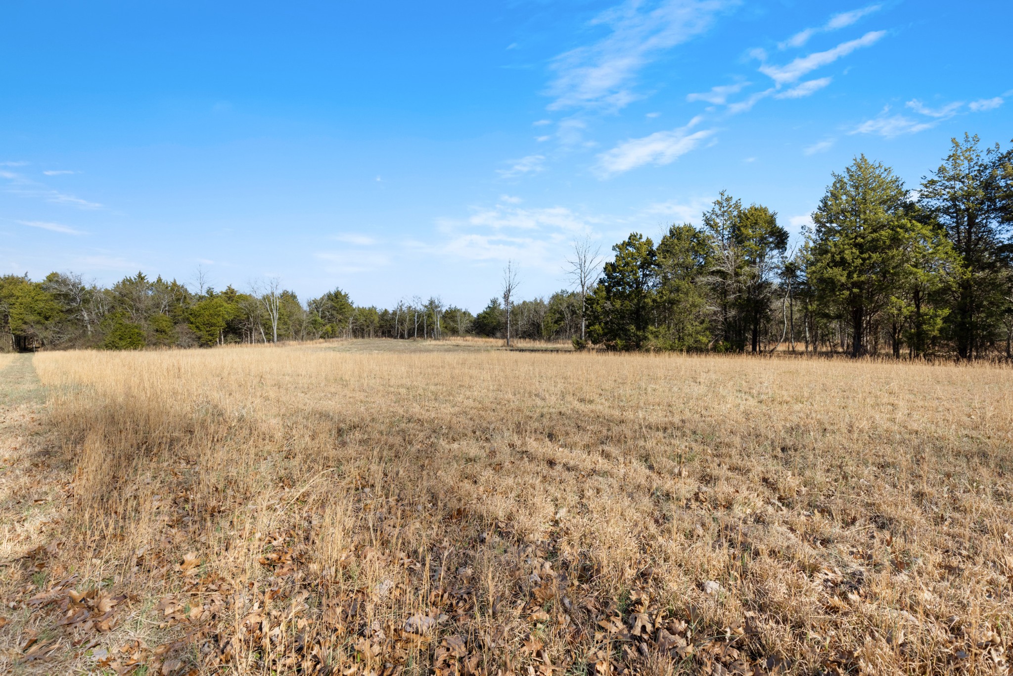 3247 Rucker Road Christiana, TN 37037 - Photo 12 of 14 a view of lake with green space