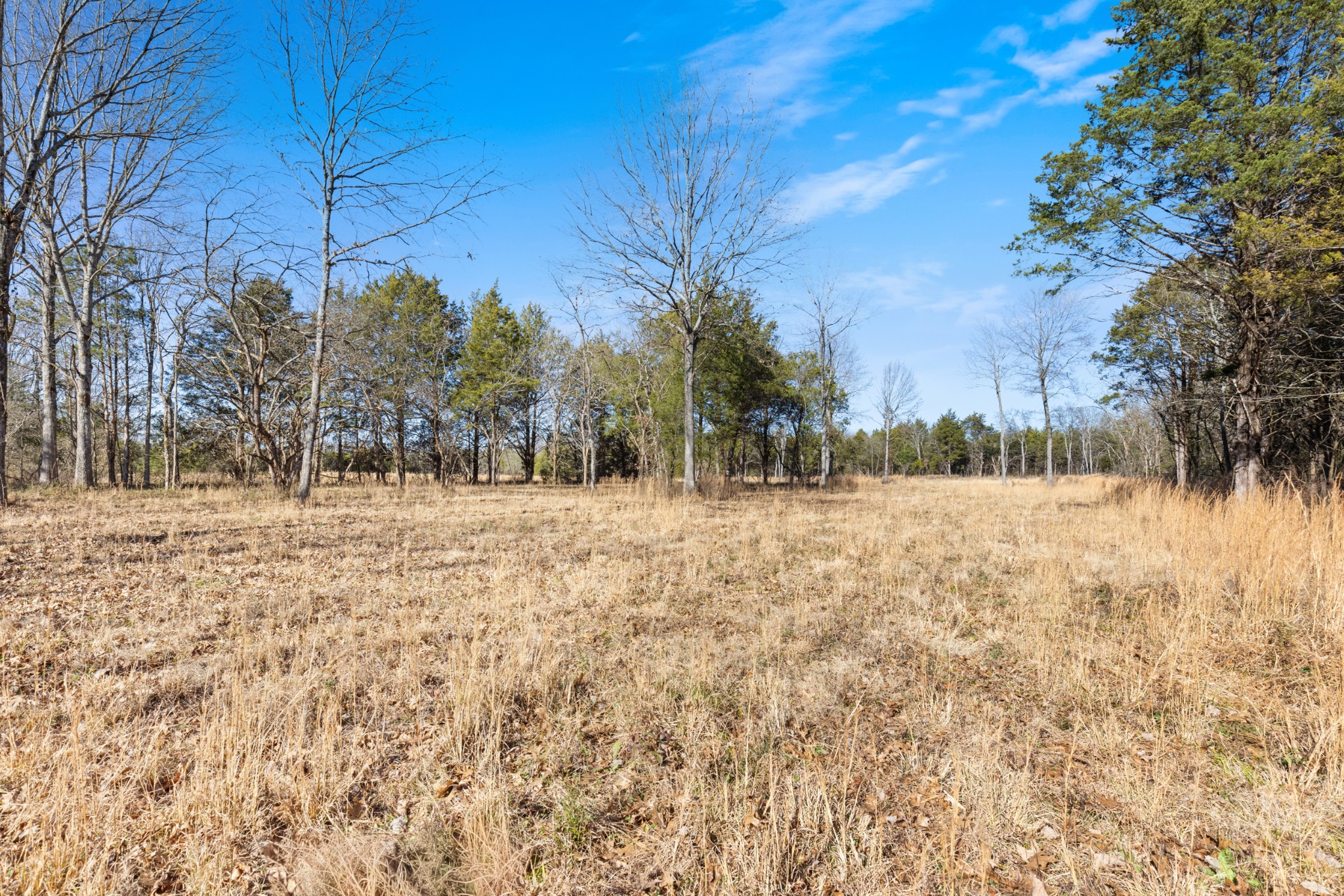 3247 Rucker Road Christiana, TN 37037 - Photo 13 of 14 a view of yard covered with snow
