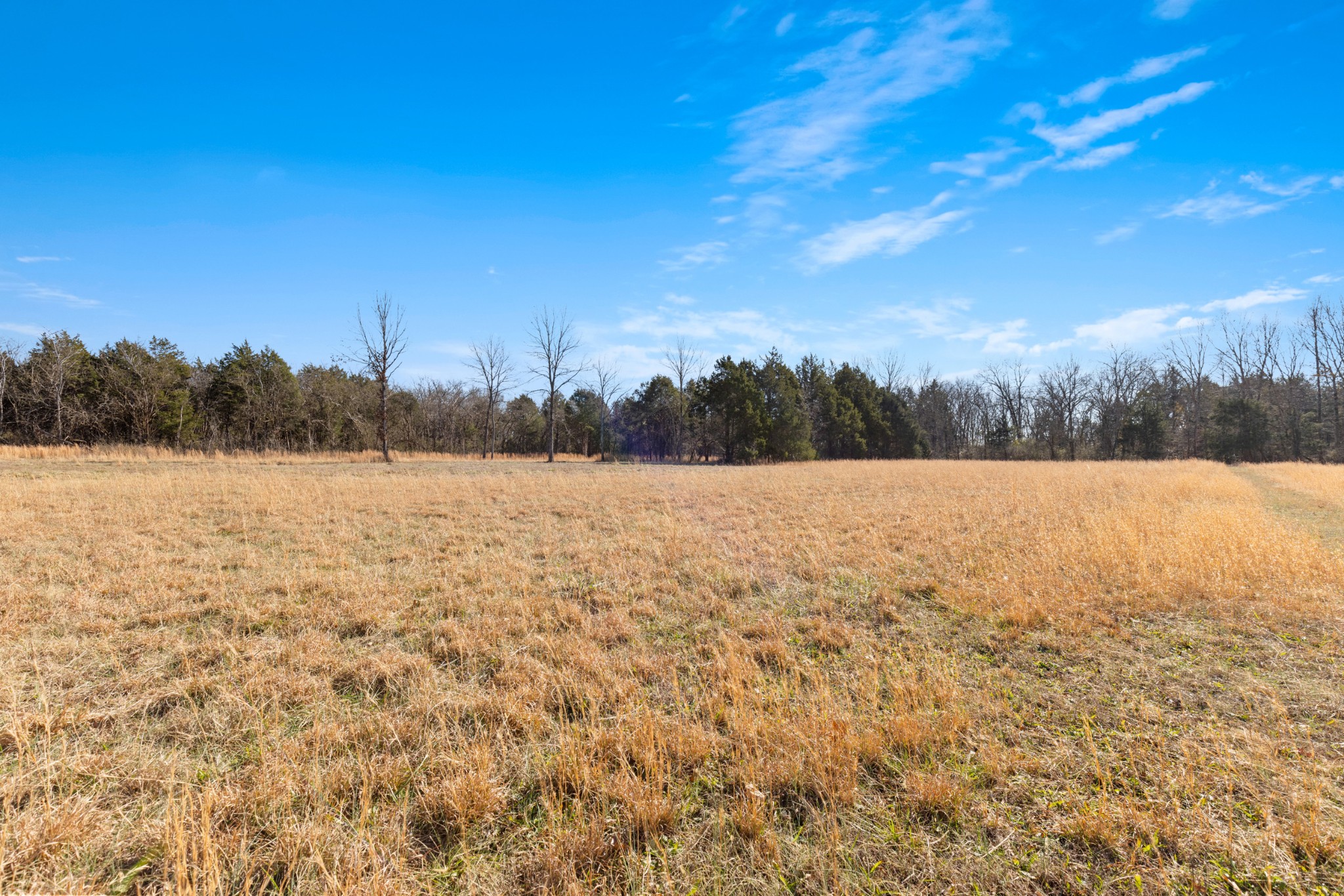 3247 Rucker Road Christiana, TN 37037 - Photo 4 of 14 a view of lake and mountain
